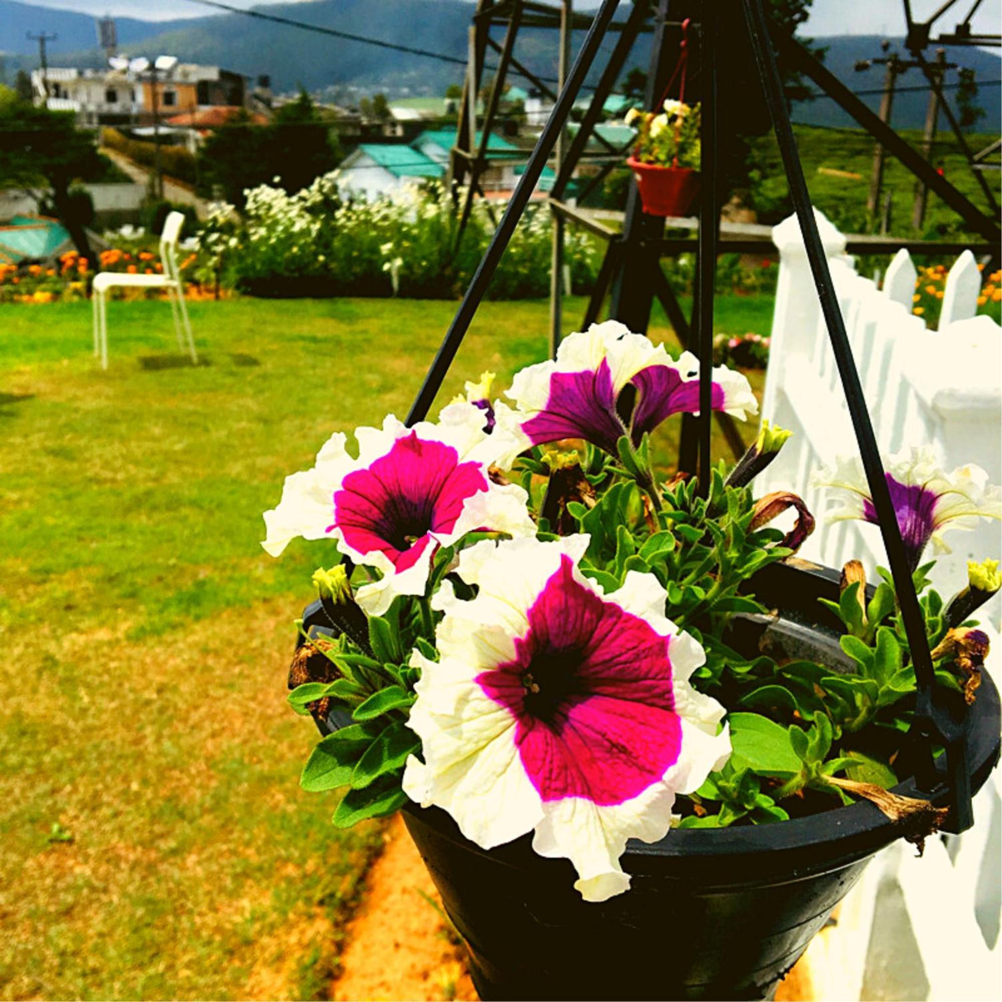 Thuring's Holiday Bungalow Nuwara Eliya Bagian luar foto