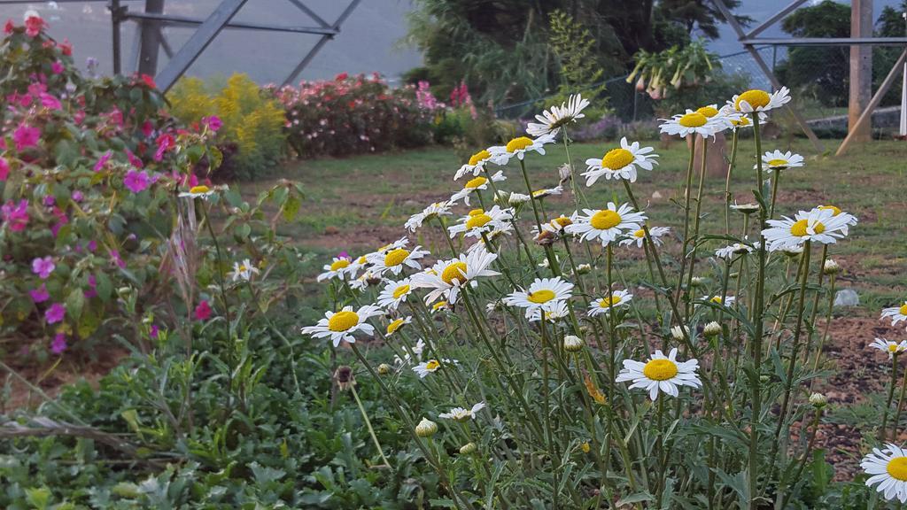 Thuring's Holiday Bungalow Nuwara Eliya Bagian luar foto