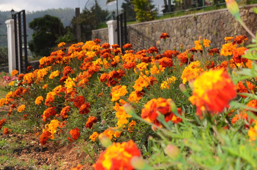 Thuring's Holiday Bungalow Nuwara Eliya Bagian luar foto